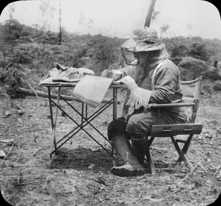 Theodore Roosevelt escrevendo durante a expedição de 1913. Ele usa um chapéu com rede para se proteger dos mosquitos Theodore Roosevelt escrevendo durante a expedição de 1913. Ele usa um chapéu com rede para se proteger dos mosquitos
