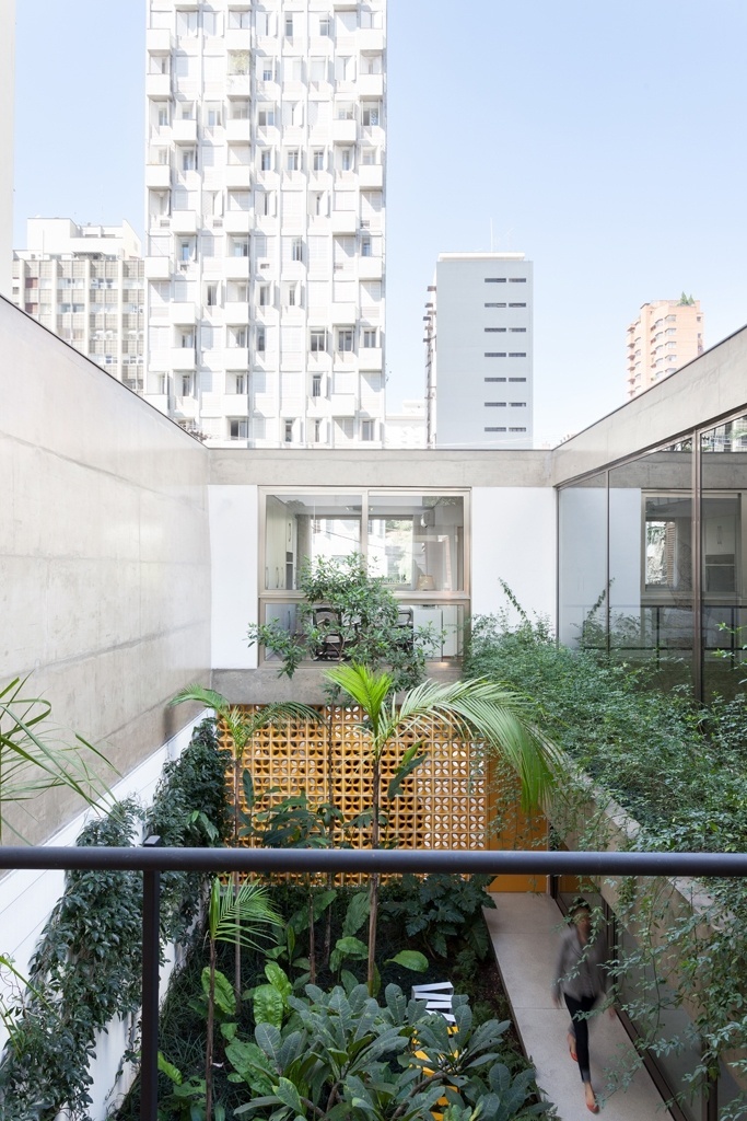 Um dos vazios criados a partir do recorte da caixa de concreto do pavimento superior. O paisagista Rodrigo Oliveira criou jardins densos para contemplação, como queriam os moradores. A Casa Jardins foi projetada pelo escritório CR2 Arquitetura - Fran Parente/ Divulgação