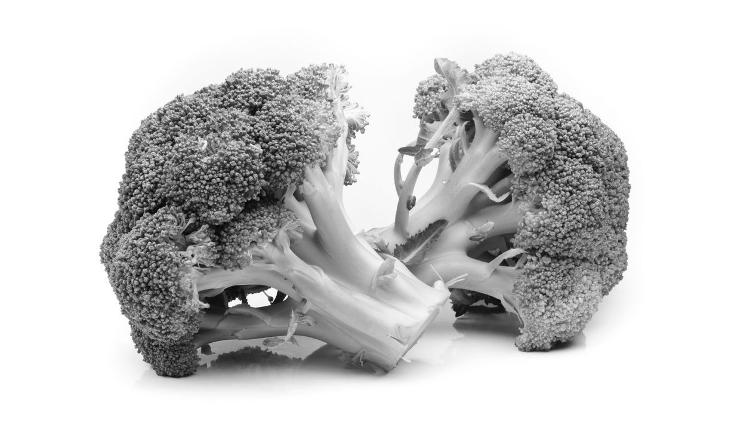 Brócolis p&b - iStock - iStock