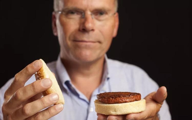 Em 2013, o holandês Mark Post apresentou o primeiro hambúrguer feito de carne cultivada no mundo, a um custo de 300 mil dólares. O experimento foi feito com células bovinas e contou com financiamento do cofundador do Google, Sergey Brin. 