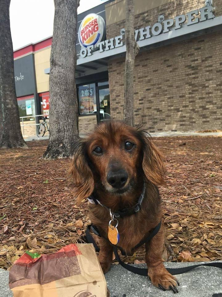 Reprodução/Facebook