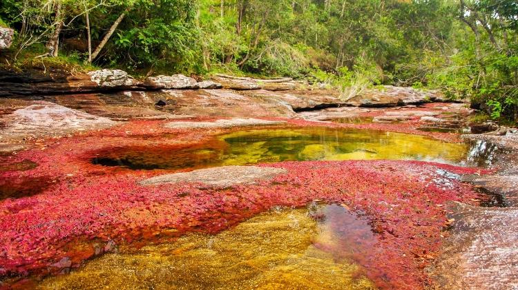 Getty Images/iStockphoto