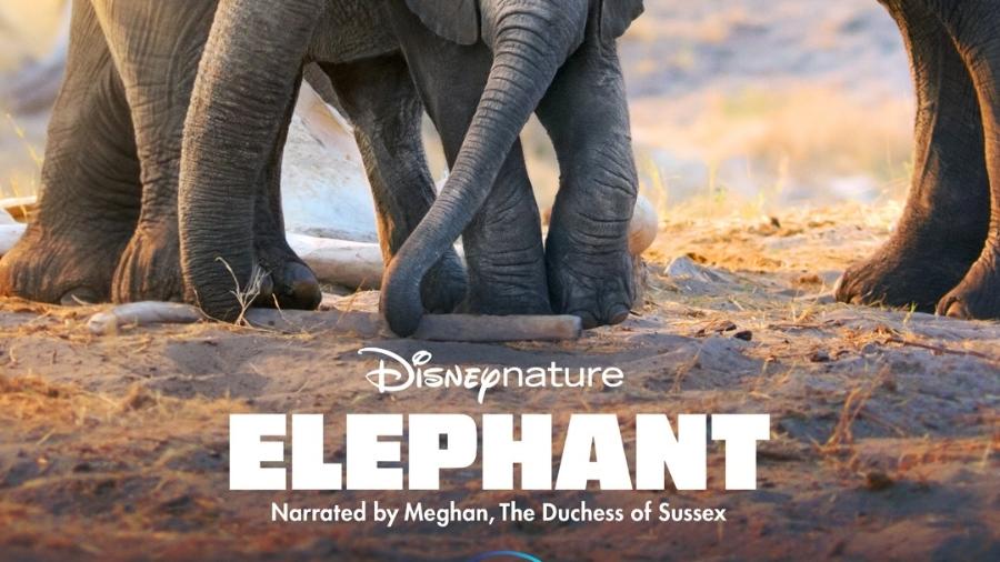 Pôster do documentário "Elephant", narrado por Meghan Markle - Divulgação