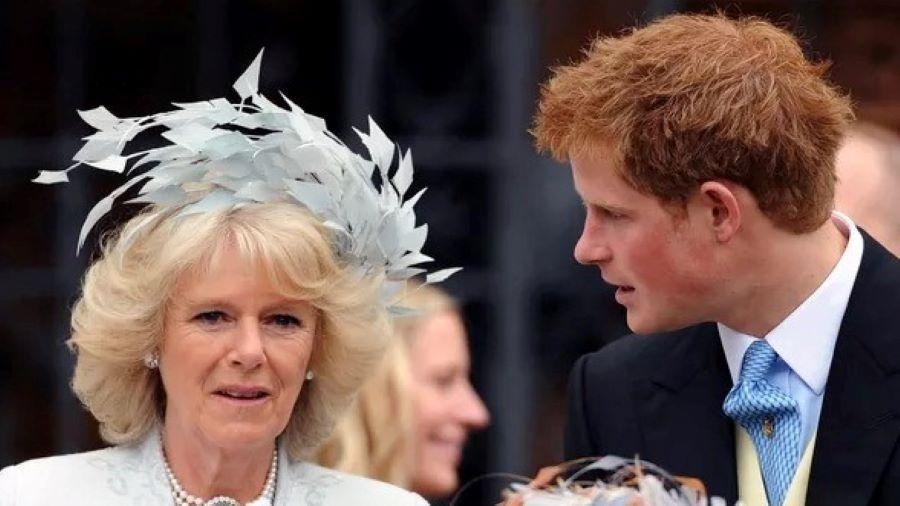 Harry e a rainha consorte Camilla - Getty Images