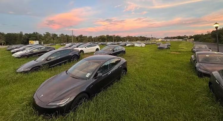 Vários veículos da Tesla estão aguardando compradores em um campo, na Flórida