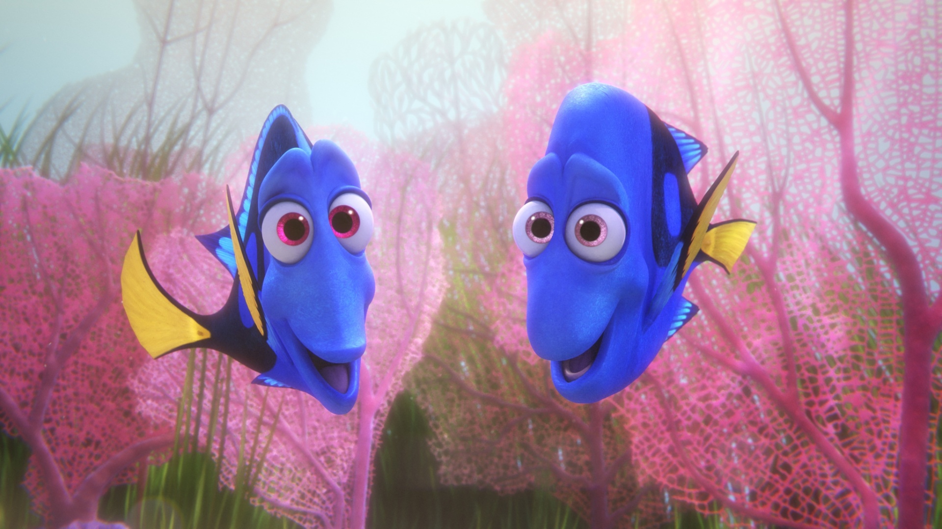 Cena do filme "Procurando Dory" - Divulgação