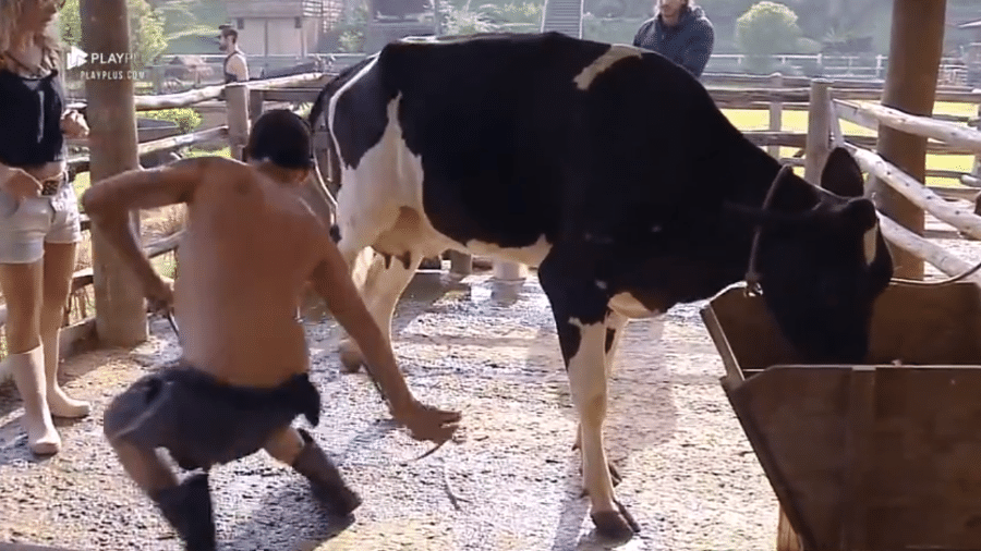 Rafael Ilha toma coice de vaca em "A Fazenda 10" - Reprodução/PlayPlus