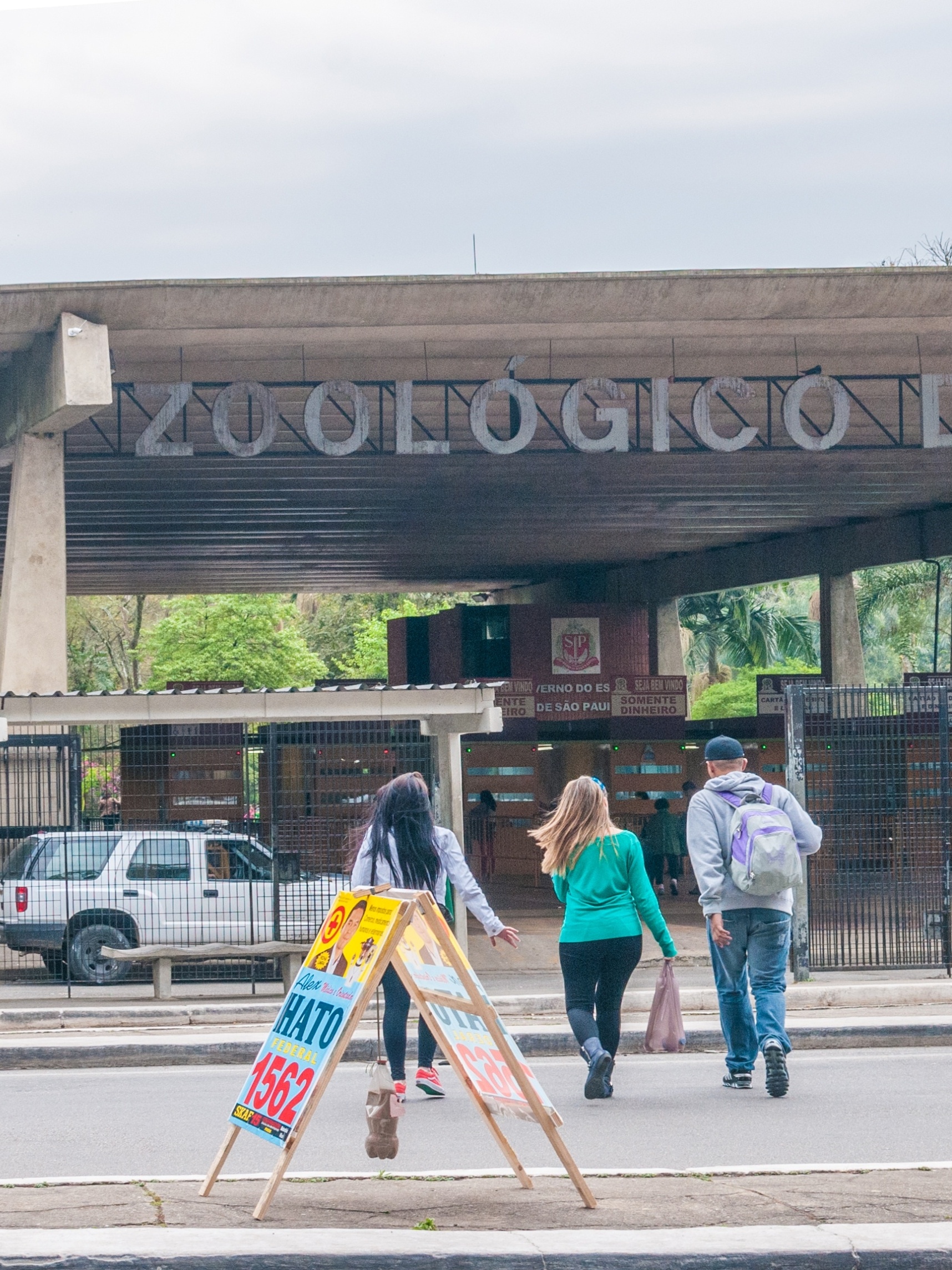 Cobra arco-íris 'mansa' chama a atenção em zoo nos EUA