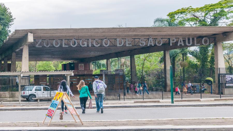 Zoológico de São Paulo - Reprodução/Governo de S. Paulo