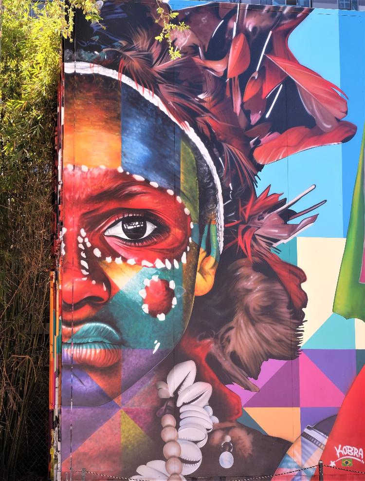 Brasil representado: mural do artista Kobra no Wynwood Walls