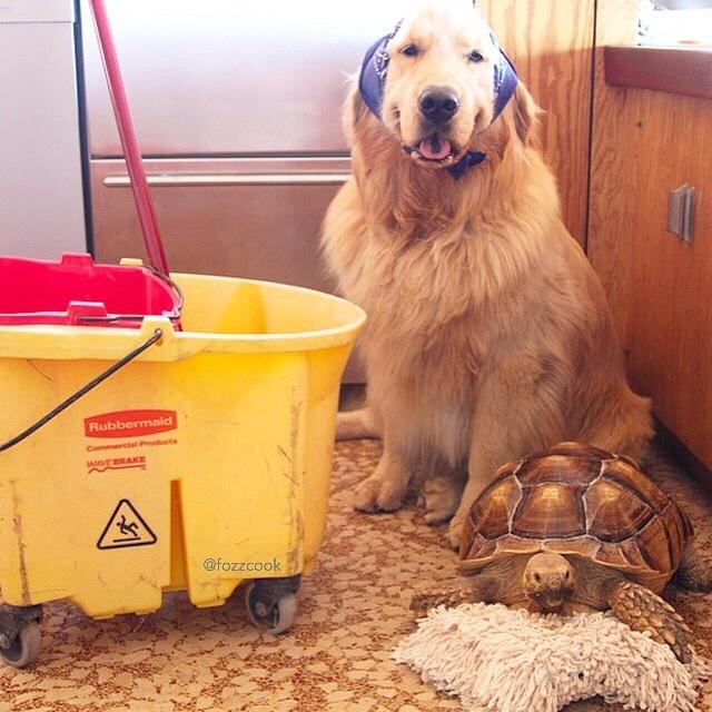 Larry e Cricket - Reprodução/Instagram