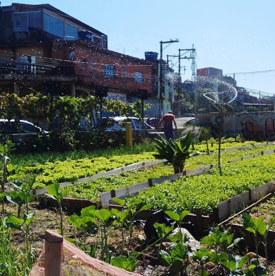 Agricultura Urbana: agroecologia, alimentação, saúde e bem-estar