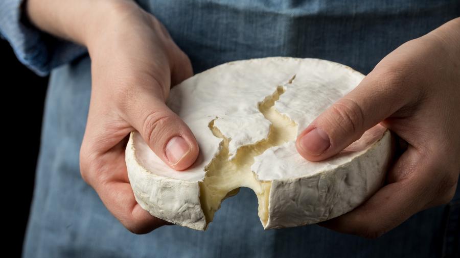 Queijo camembert