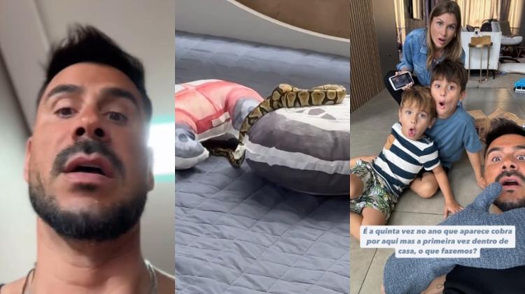 Júlio Rocha encontrou o que seria uma cobra Píton-real no quarto dos filhos