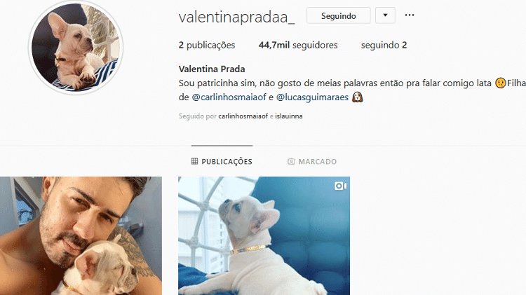 Perfil no Instagram da cadelinha adotada por Carlinhos Maia e o noivo, Lucas Guimarães - Reprodução/Instagram - Reprodução/Instagram