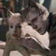 Francesca Hayward (Victoria) e Robbie Fairchild (Munkustrap) em cena de Cats - Divulgação