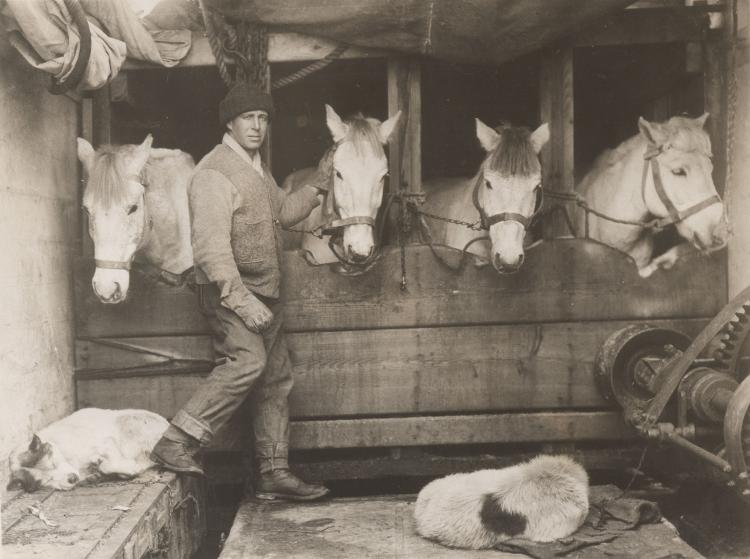 Crewman Lawrence 'Titus' Oates with the ponies used in the Terra Nova expedition - Public Domain - Public Domain