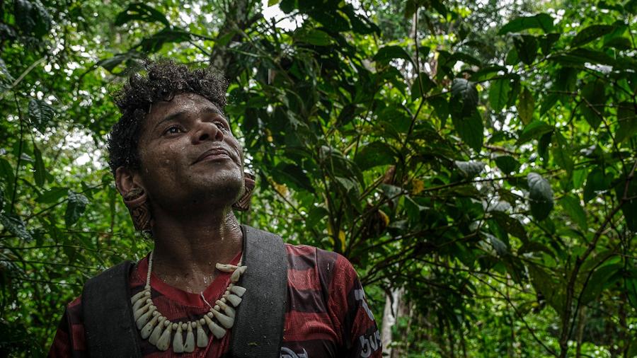 Tohõ Pataxó observa a chuva em meio a uma área preservada no território Pataxi Pataxó Akuã Tarakwatê, próximo ao Monte Pascoal, sul da Bahia Tohõ Pataxó observa a chuva em meio a uma área preservada no território Pataxi Pataxó Akuã Tarakwatê, próximo ao Monte Pascoal, sul da Bahia