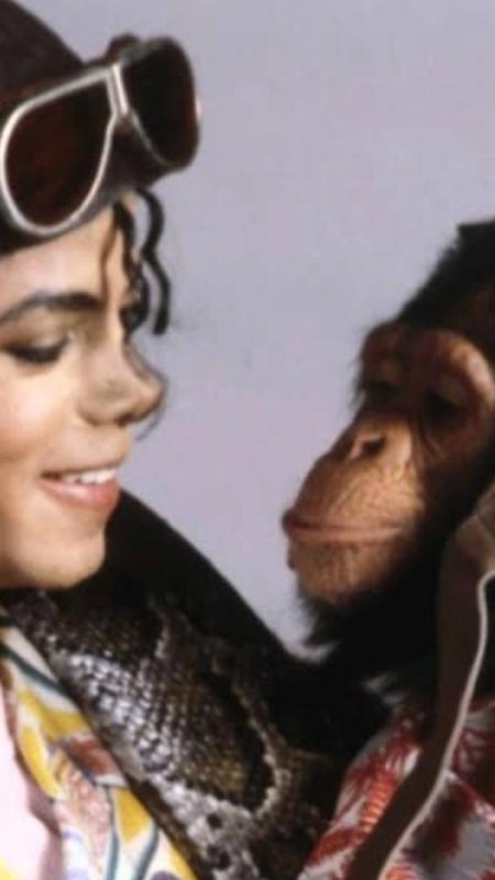 Bubbles: onde está e como vive o chimpanzé amigo de Michael Jackson