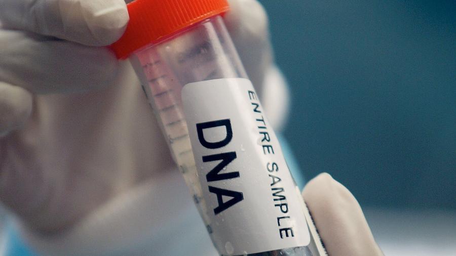 DNA de animais capturados pelo ar foram analisados -  Scott Gries/Equipa