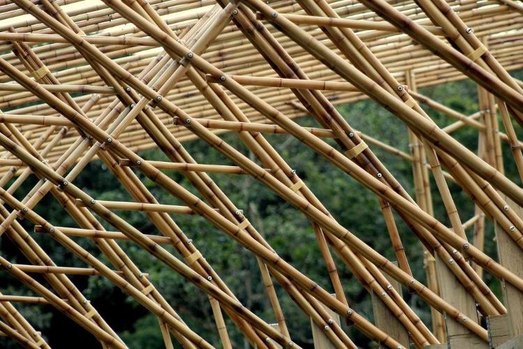 Detalhe do bambu do Pavilhão das Oficinas do Ekôa Park - Lúcio Ventania - Lúcio Ventania