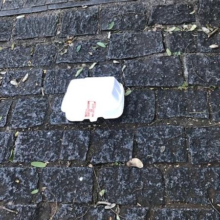 Embalagem de isopor jogada na rua em São Paulo - Mara Gama