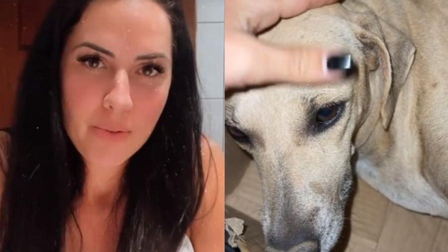 Graciele Lacerda e cadelinha resgatada - Instagram