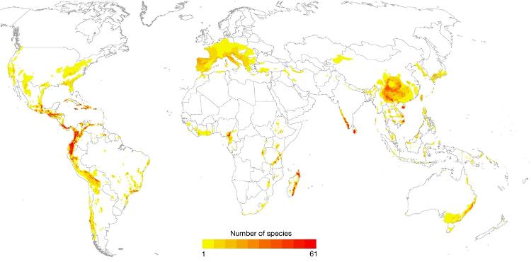 Mapa produzido pelo levantamento revela onde estão as 2.873 espécies de anfíbios ameaçadas de extinção; a maioria está nas zonas de altitude, onde há cada vez menos umidade disponível