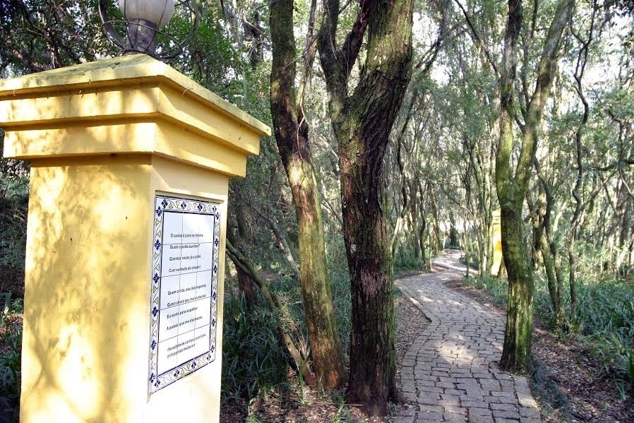 O Bosque de Portugal, no Jardim Social - Divulgação/Cesar Brustolin/SMCS