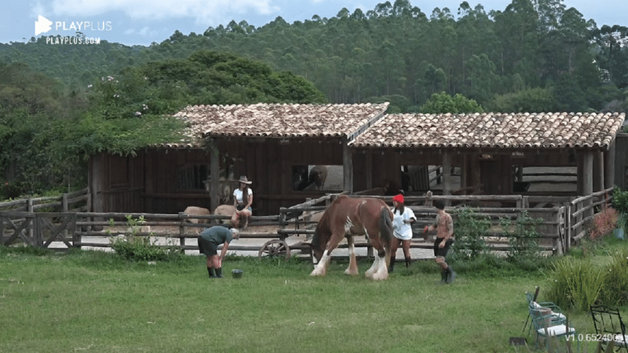 A Fazenda 2020: Peões se divertem com o cavalo Lyon - Reprodução/RecordTV
