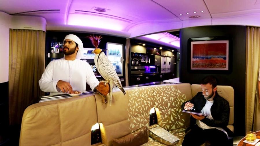 Passageiro com seu falcão no bar do VIP Lounge do avião da Etihad Airways  - Reprodução