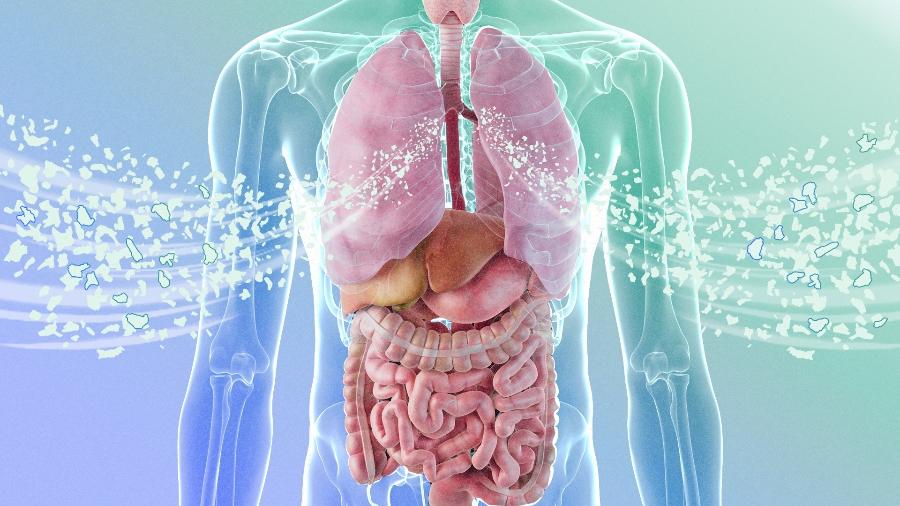 Microplásticos já foram encontrados em diversos órgãos do corpo humano, mas cientistas ainda não sabem precisar os reais riscos à saúde