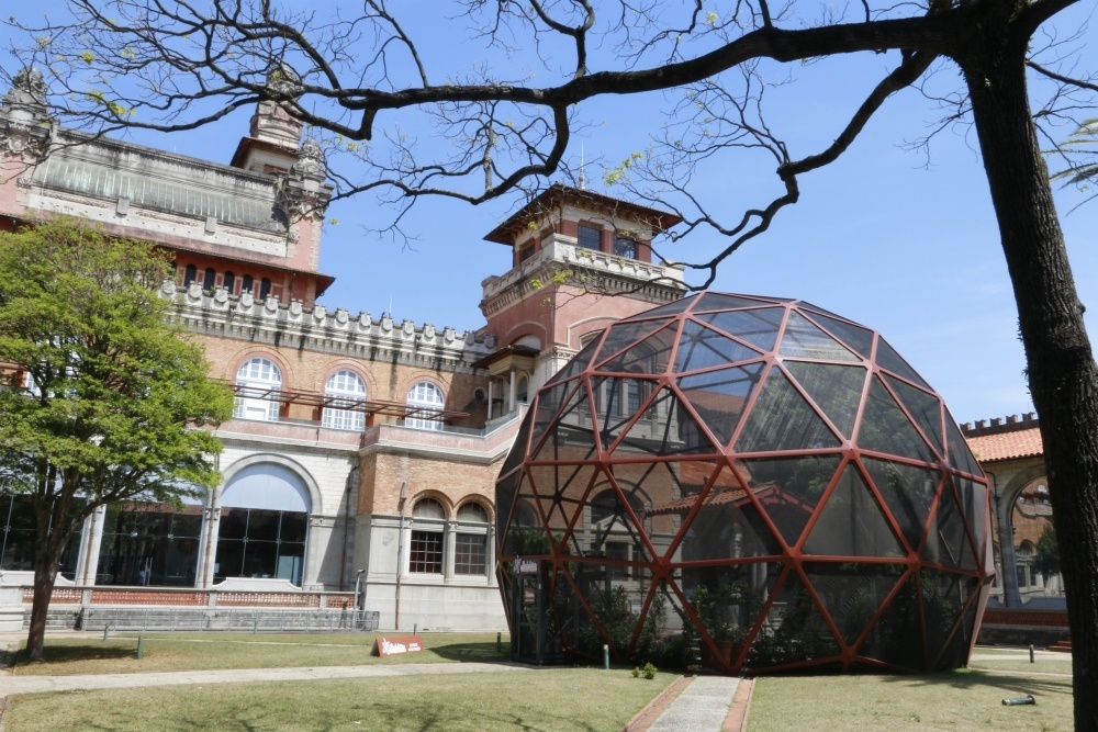 Museu Catavento inaugura seu Borboletário no próximo sábado (18) - Divulgação