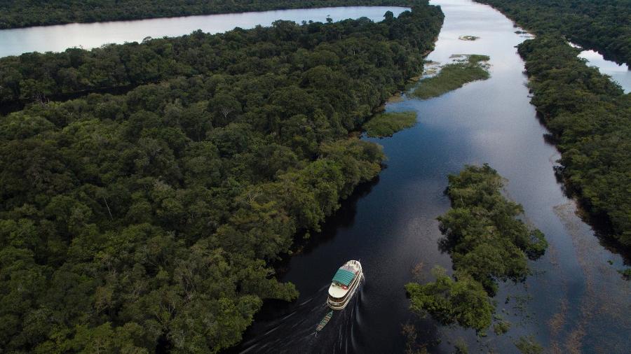 A Noruega é a principal doadora do Fundo Amazônia e liberou os recursos para combate ao desmatamento após a posse do presidente Lula - iStock