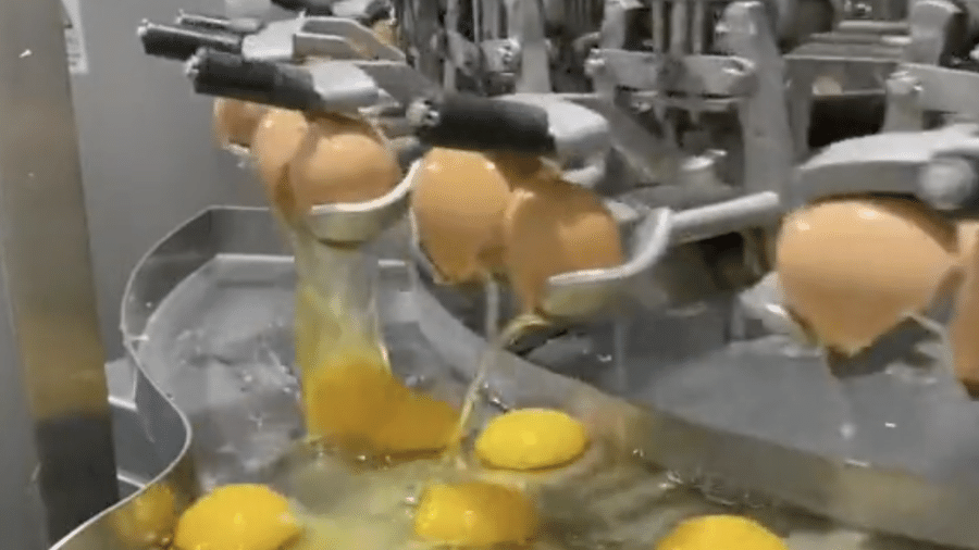 A máquina de separação de ovos em ação - Reprodução/Twitter