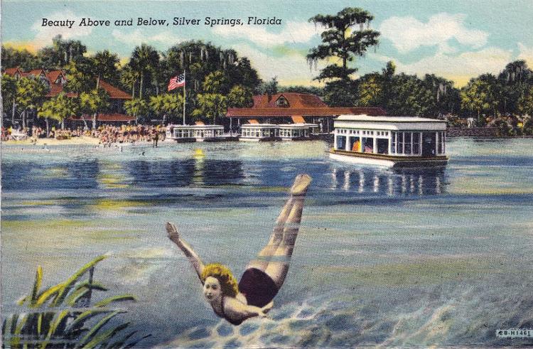 Cartão-postal de Silver Springs de 1942