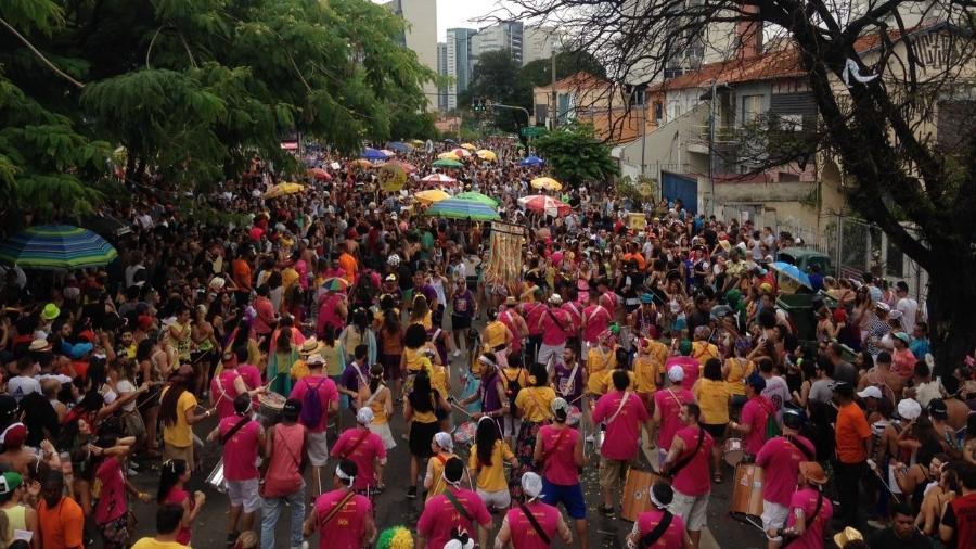 Blocos de carnaval irão agitar os foliões por toda São Paulo