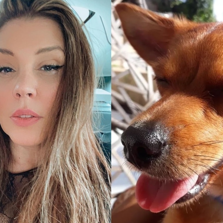 Cachorra de Simony morre após ser atropelada e cantora tenta achar o  culpado: Chanel, vou lutar por você até o fim - Estrelando