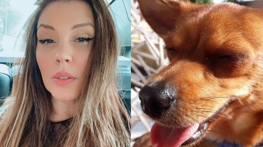 Simony pede ajuda para localizar pessoa que atropelou sua cachorrinha, Chanel - Reprodução: Instagram