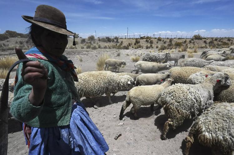 Membros da comunidade indígena Uru ao redor do seco Lago Poopó tiveram que encontrar outras maneiras de ganhar a vida - AIZAR RALDES/AFP - AIZAR RALDES/AFP