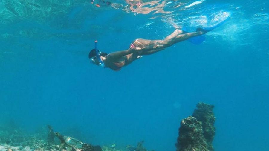 Thaila Ayala mergulha com tartarugas - Reprodução/Instagram