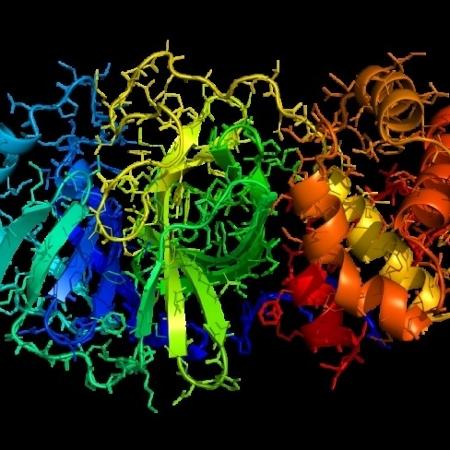 O objetivo da pesquisa é encontrar composto capaz de inibir uma enzima importante para a replicação do Sars-CoV-2, sem afetar as células humanas (na imagem, modelo tridimensional de uma das proteases do novo coronavírus) - Reprodução/Agência Fapesp