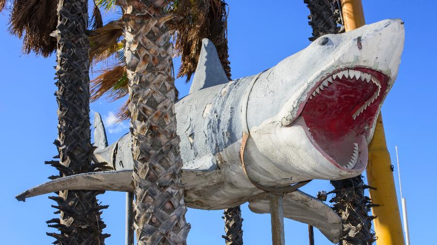 Tubarão no Museu do Oscar, em Los Angeles - MICHAEL PALMA/AFP