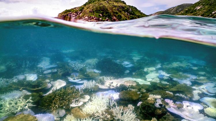 Corais branqueados e mortos ao redor da ilha do Lagarto, na Grande Barreira de Corais, na Austrália
