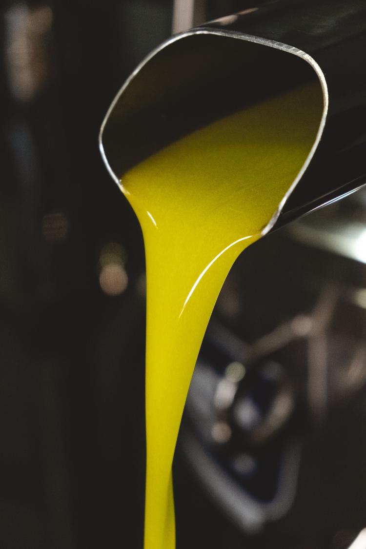 Extração do azeite na Fazenda Serra dos Tapes Extração do azeite na Fazenda Serra dos Tapes