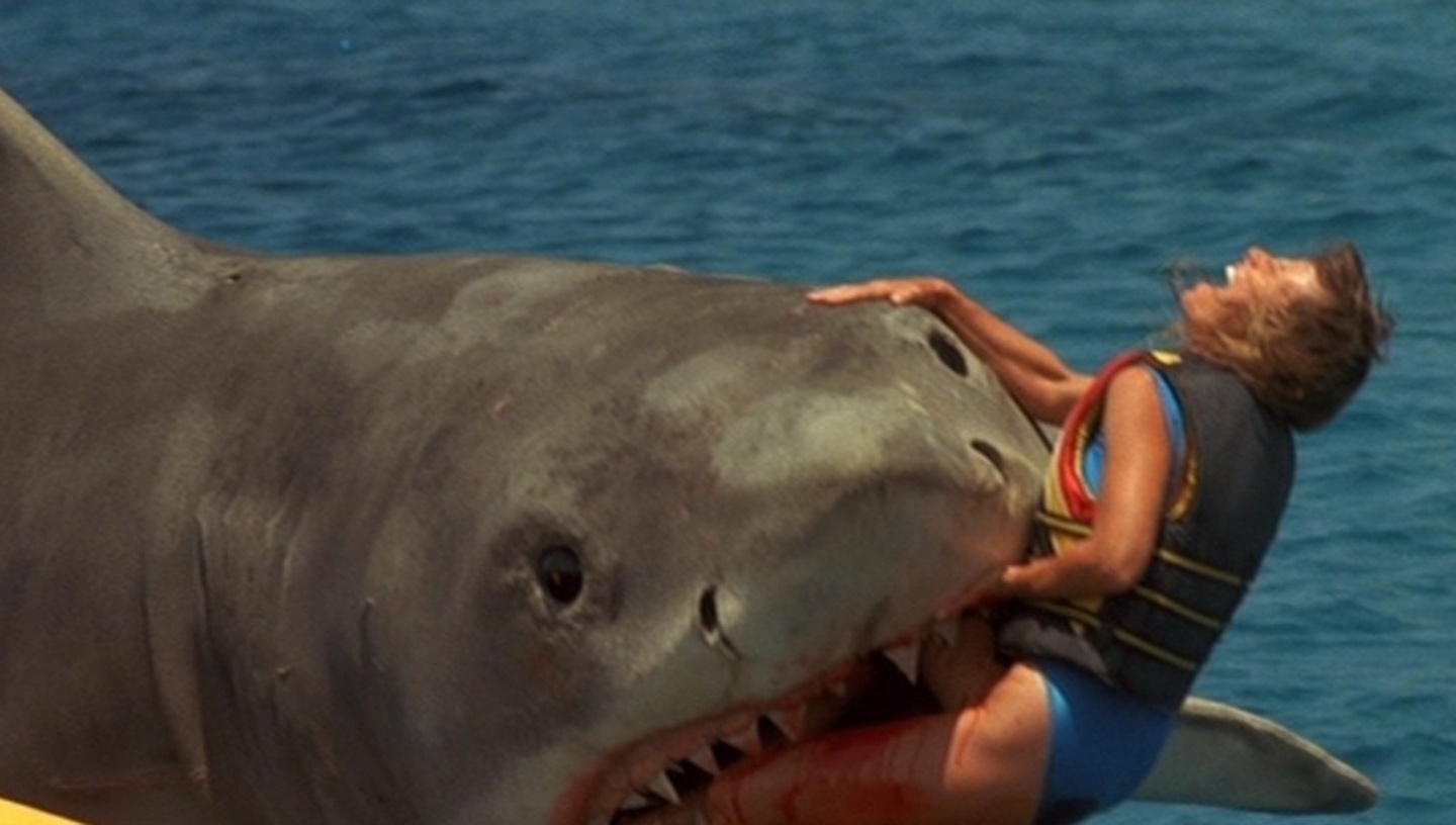 Cena do filme "Tubarão: A Vingança" (1987) - Reprodução