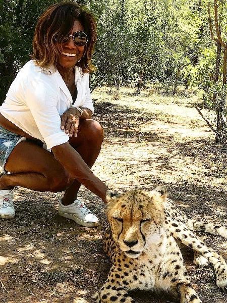 Glória Maria fez carinho em guepardo durante viagem a Johannesburgo, na África do Sul - Reprodução/Instagram
