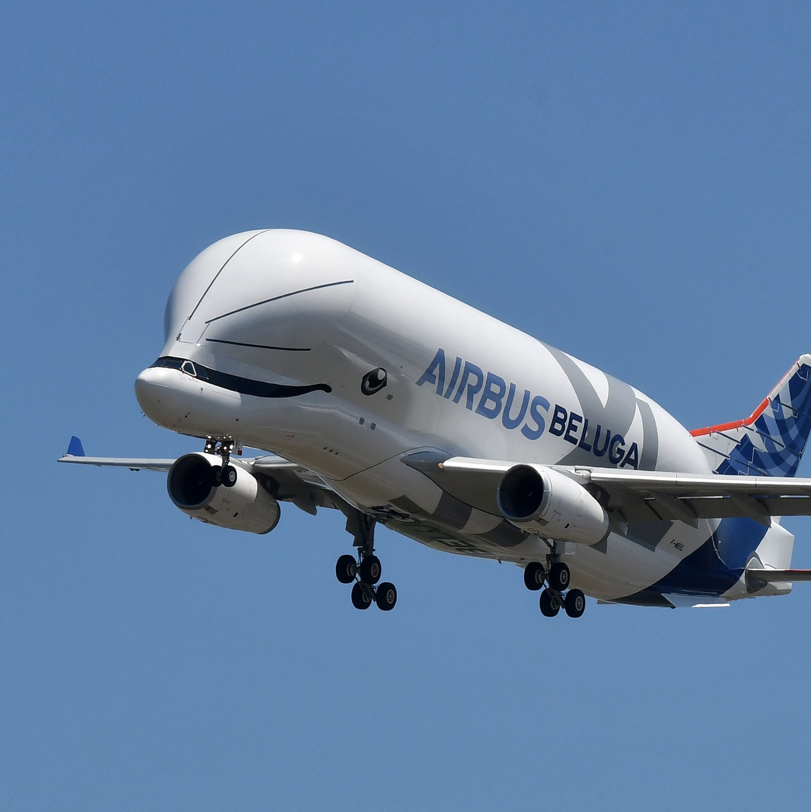 Airbus Beluga XL: avião conhecido como baleia voadora começa a operar -  15/01/2020 - UOL Economia