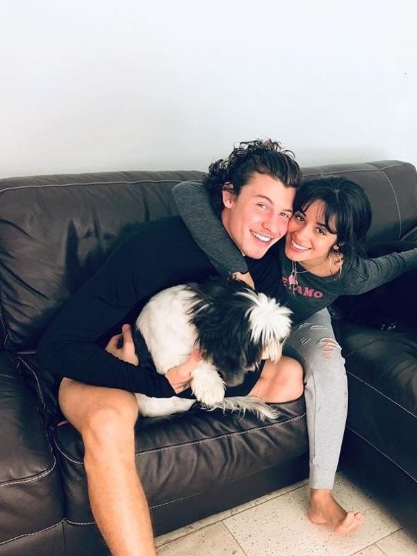 Shawn Mendes e Camila Cabello namoram desde julho de 2019