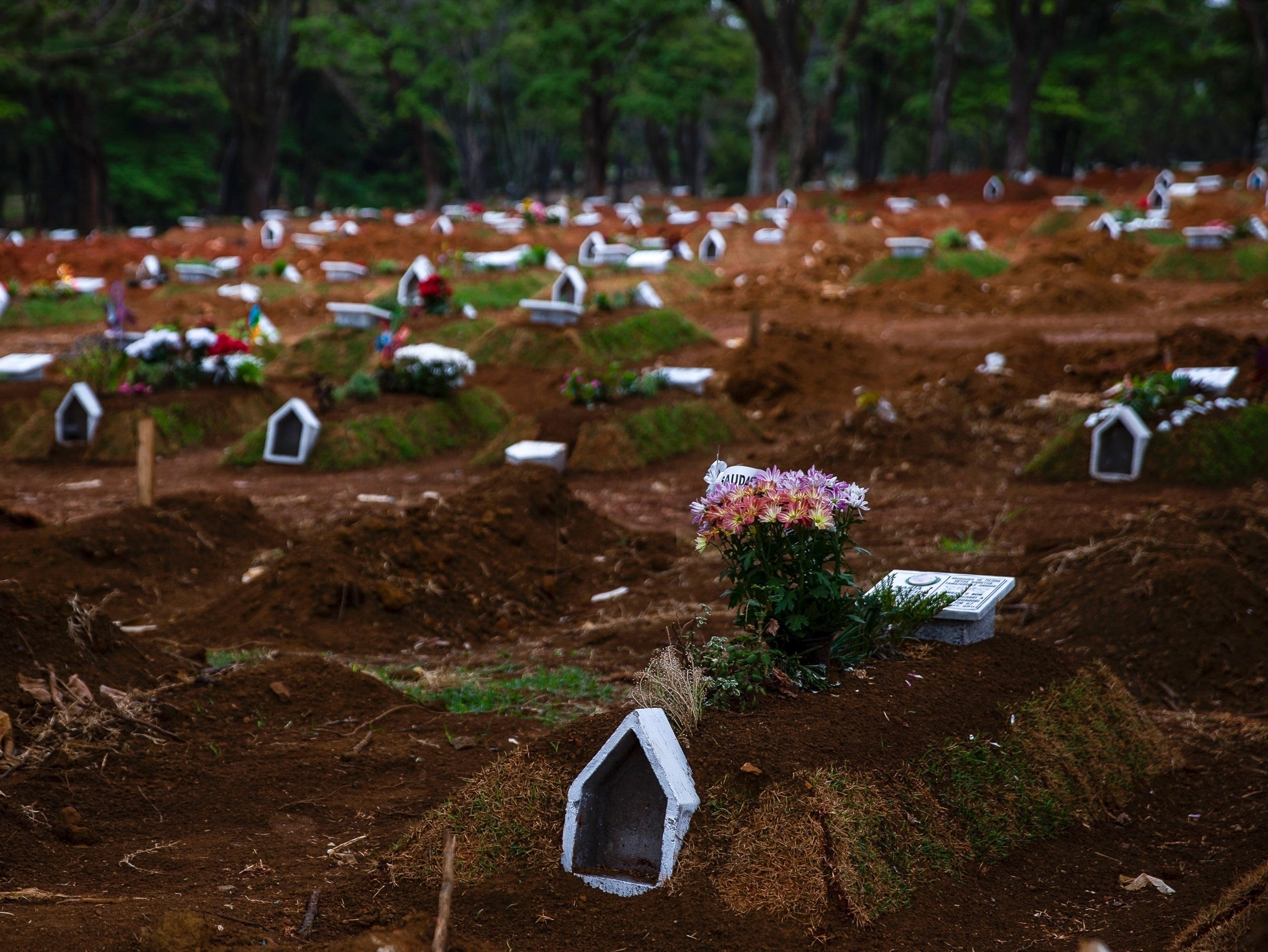 SP tem menor média móvel de mortes por covid em 6 meses; governo pede cuidado